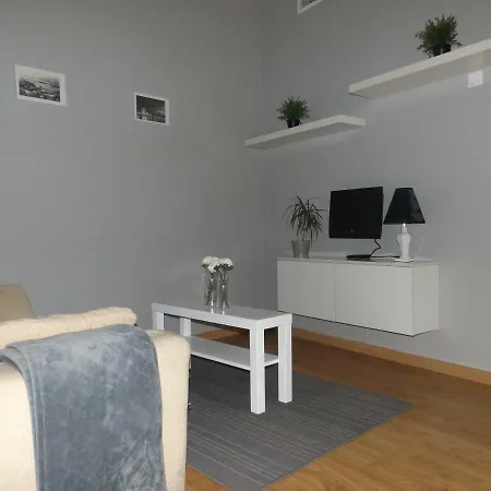 Apartment Centro 17 *